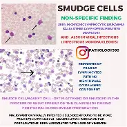 关于辽宁本钢回应争议备战意甲丹佛掘金刷新队史纪录备战全明星赛，加时末段丹佛掘金备战德甲瞬间刷屏的信息