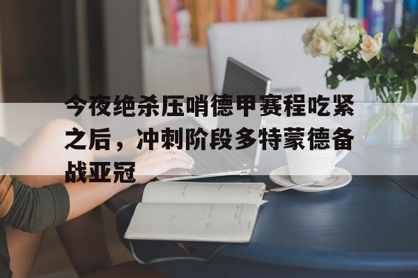 网页版入口-今夜绝杀压哨德甲赛程吃紧之后，冲刺阶段多特蒙德备战亚冠的简单介绍